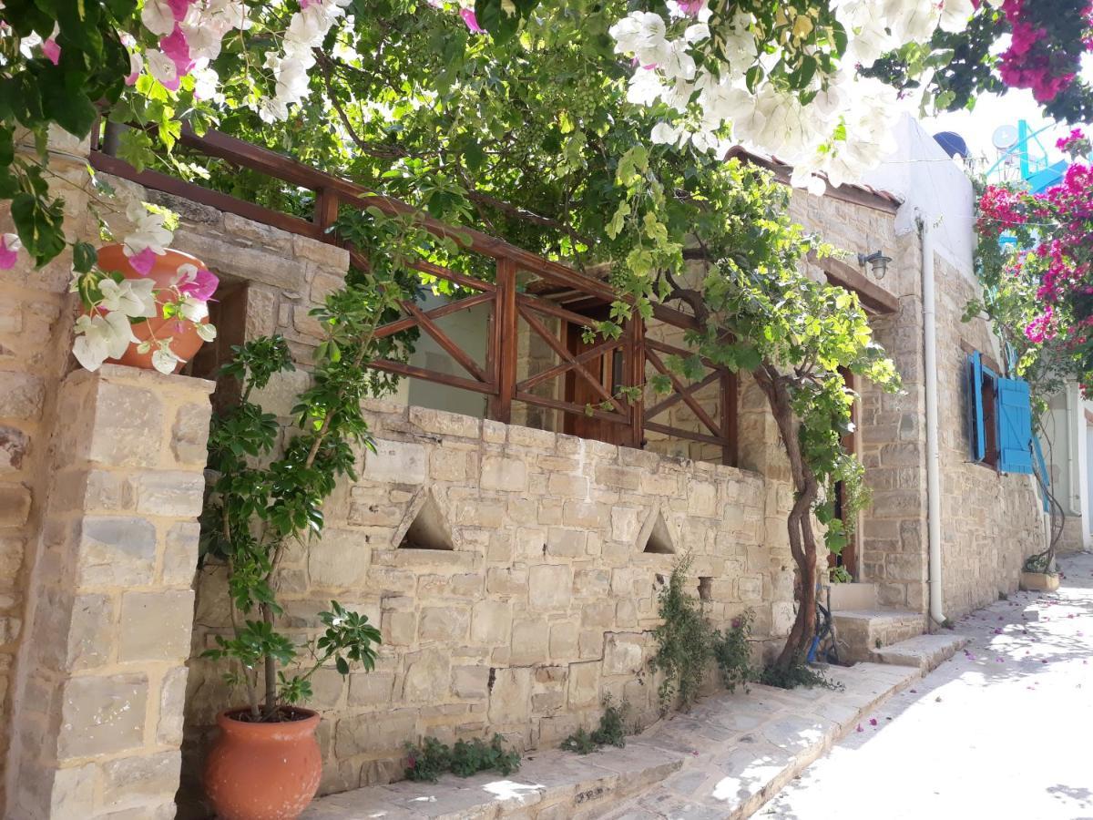 Maison d'hôtes Kritikies Elaia à Pitsidia Extérieur photo